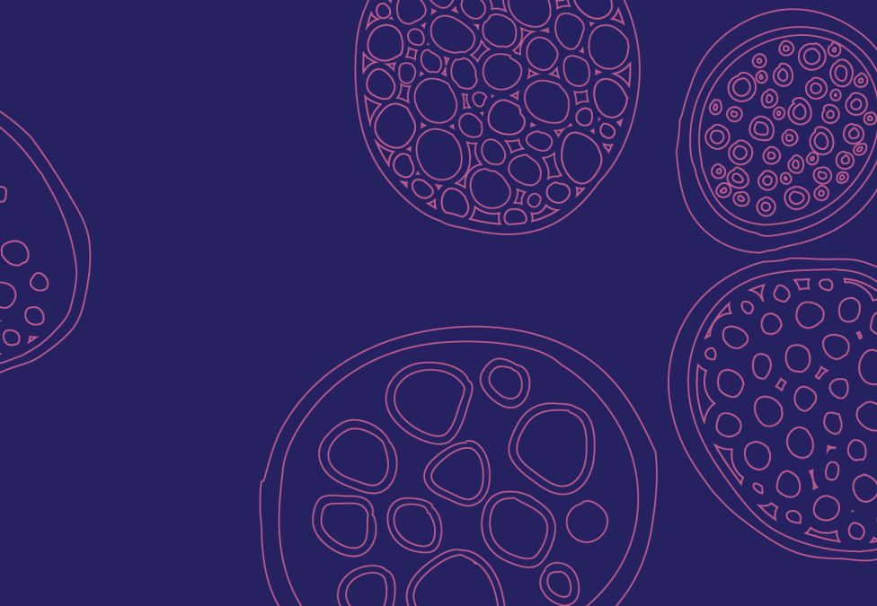 Decorative pattern of circular shapes with intricate geometric designs on a deep purple background